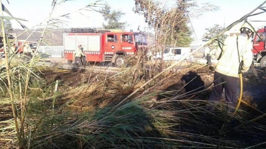 Els bombers, treballant en l&#039;extinció de l&#039;incendi de canyes que dissabte va mobilitzar-los a Garriguella.