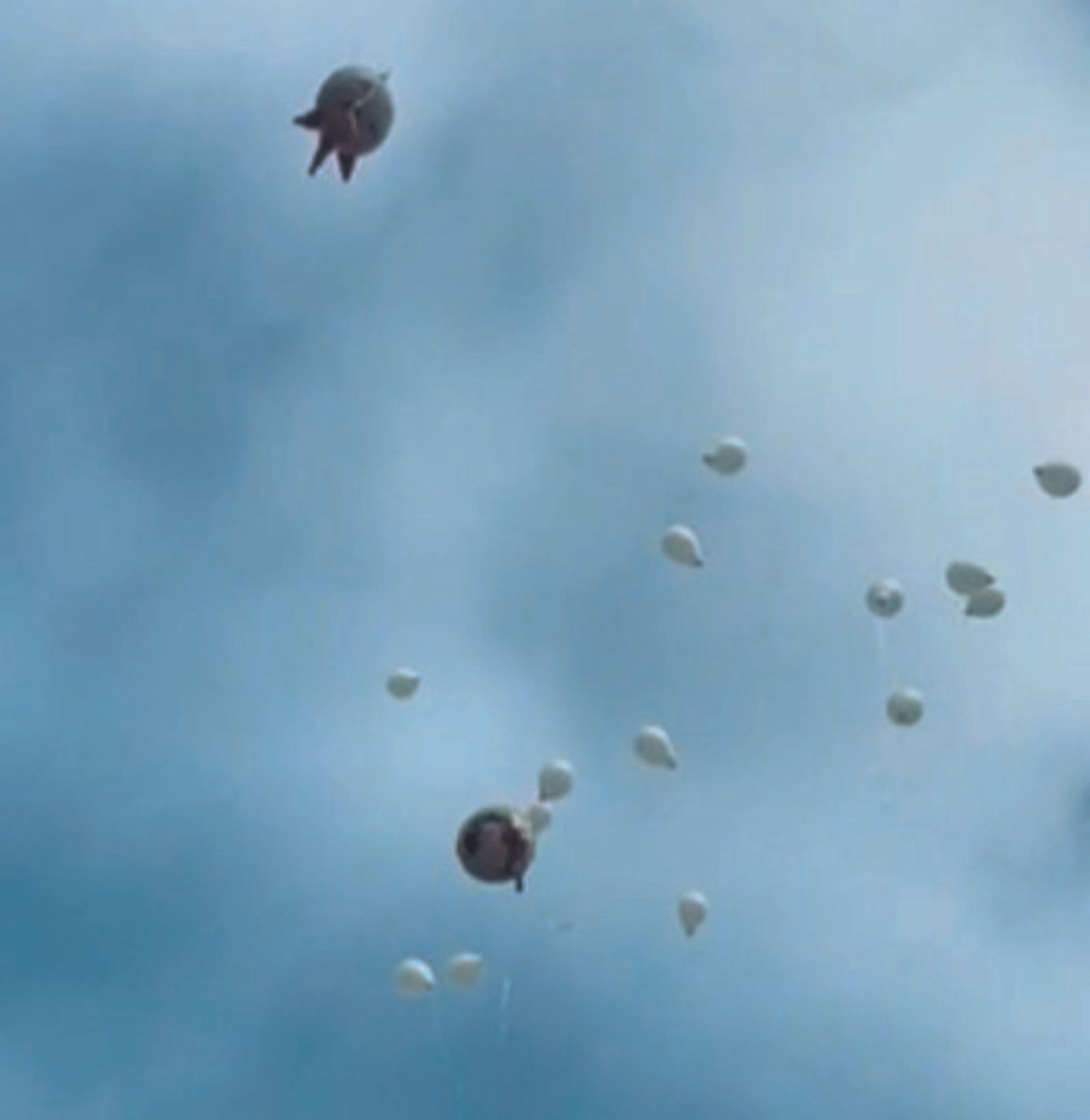 Los globos que los niños lanzaron al cielo para Lucía.