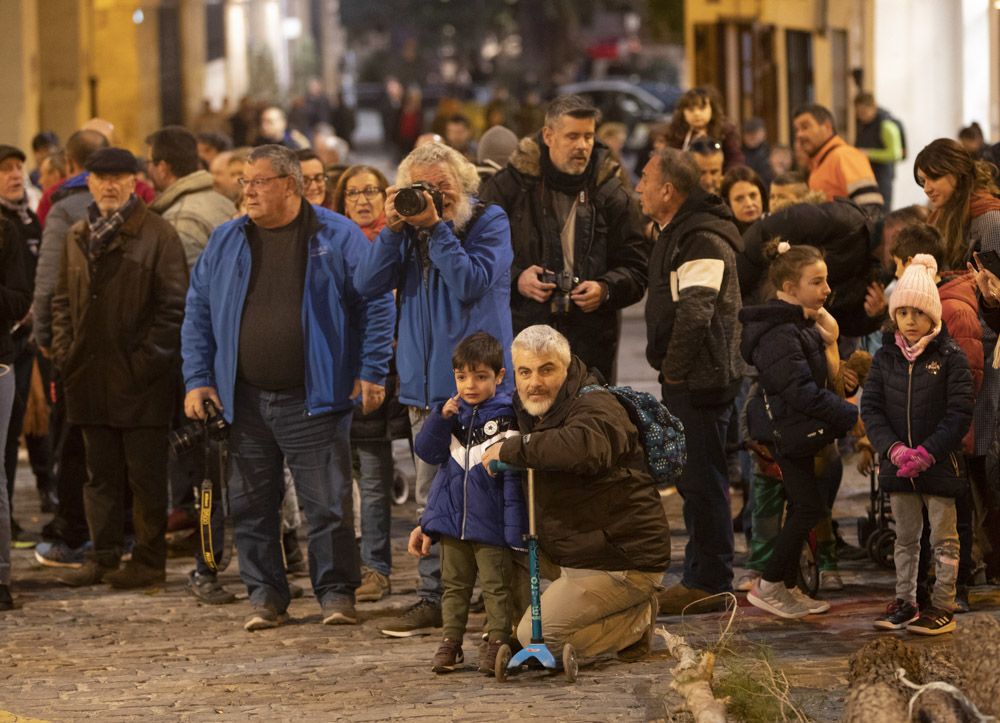 Sant Antoni arranca en Sagunt con la tradicional Plantà del Pi