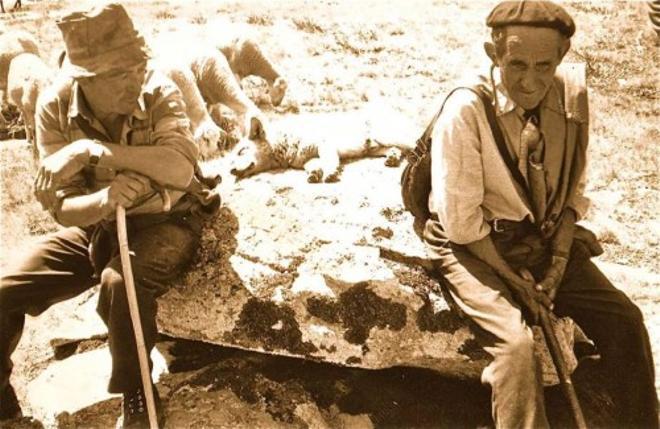 «Los churreros de Aliste, lo últimos nómadas de Iberia»