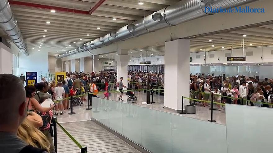 VÍDEO | Colas interminables en el área de pasaportes del aeropuerto de Palma