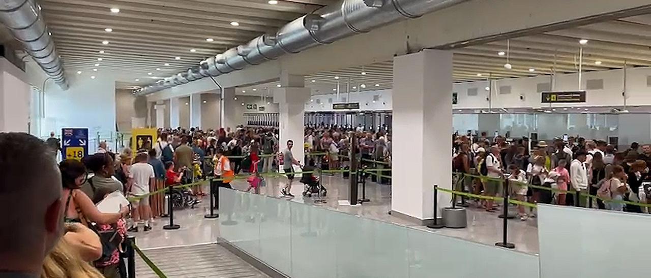 VÍDEO | Colas interminables en el área de pasaportes del aeropuerto de Palma