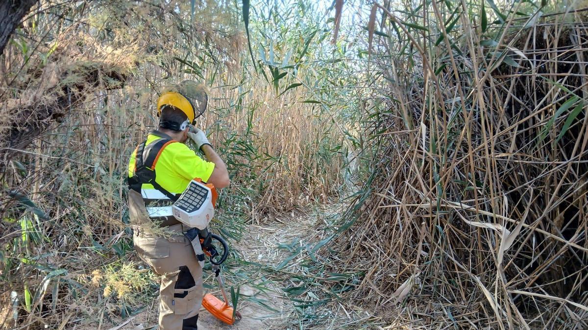 Labores de mantenimiento medioambiental en Elda.