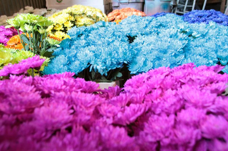 Preparación de las carrozas para la Batalla de Flores