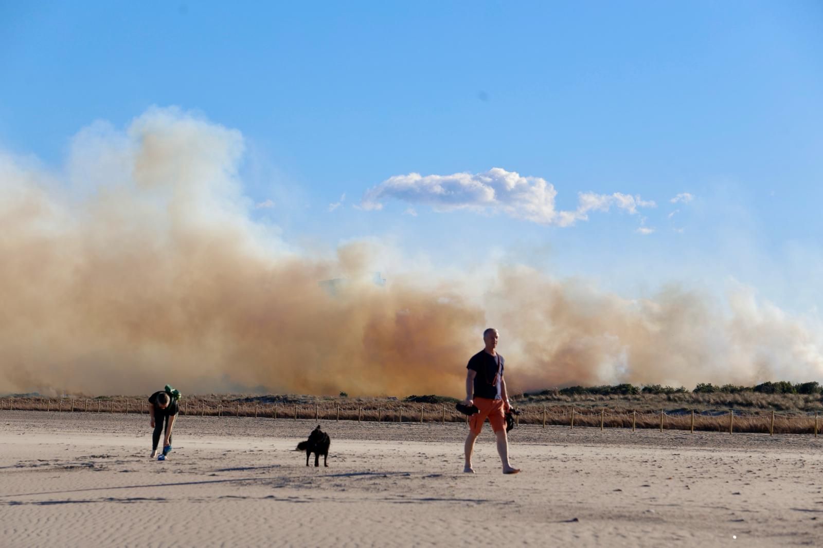 Declarado un incendio en el Saler