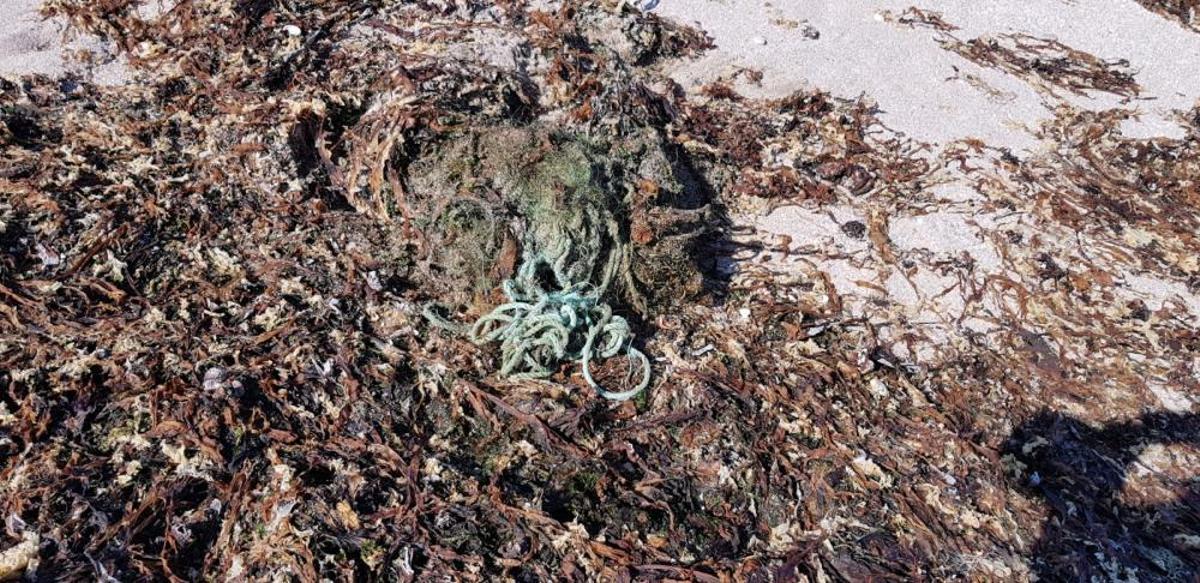 Eliminación de basura marina en Sálvora.