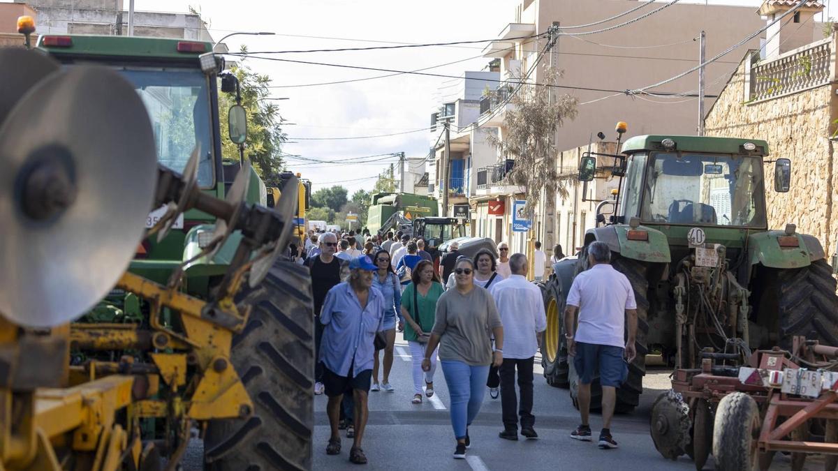 Una imagen de la fira de Son Ferriol