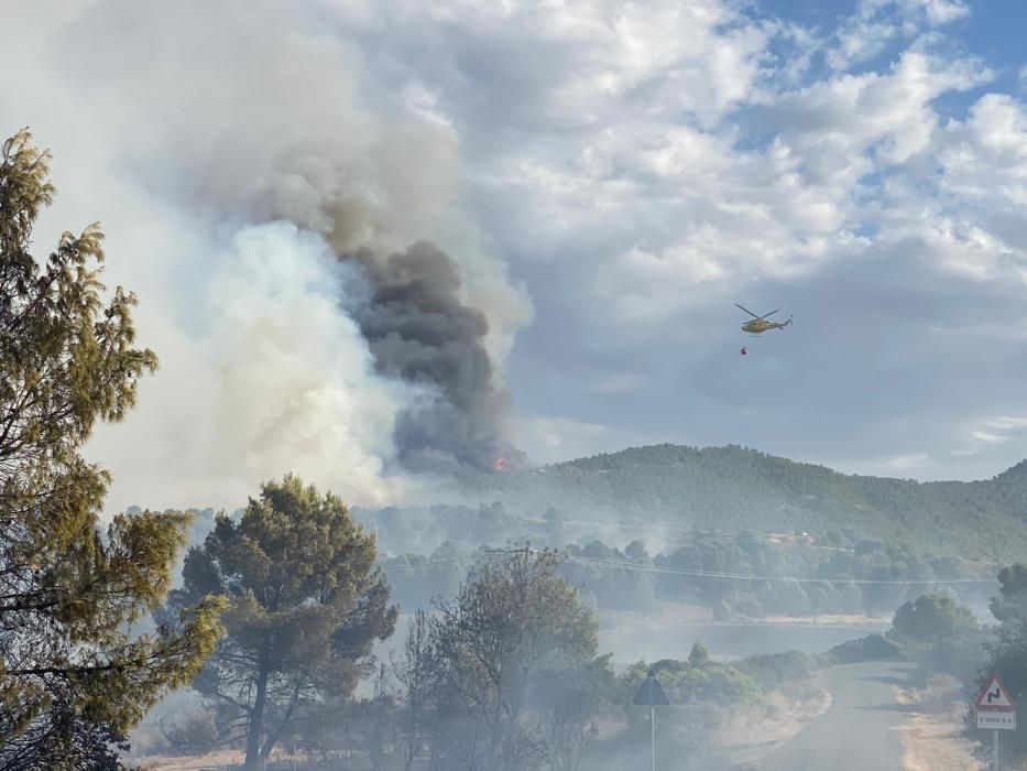 Un incendio en Mula alerta a los bomberos por su c