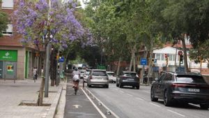Un ciclista circula por el nuevo carril bici de la calle de Escòcia de Barcelona.