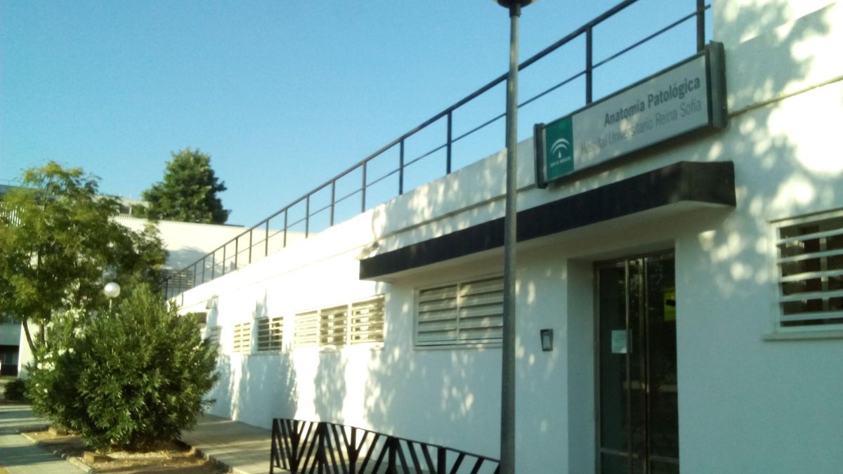 Servicio de Anatonia Patologica del Hospital Reina Sofía.