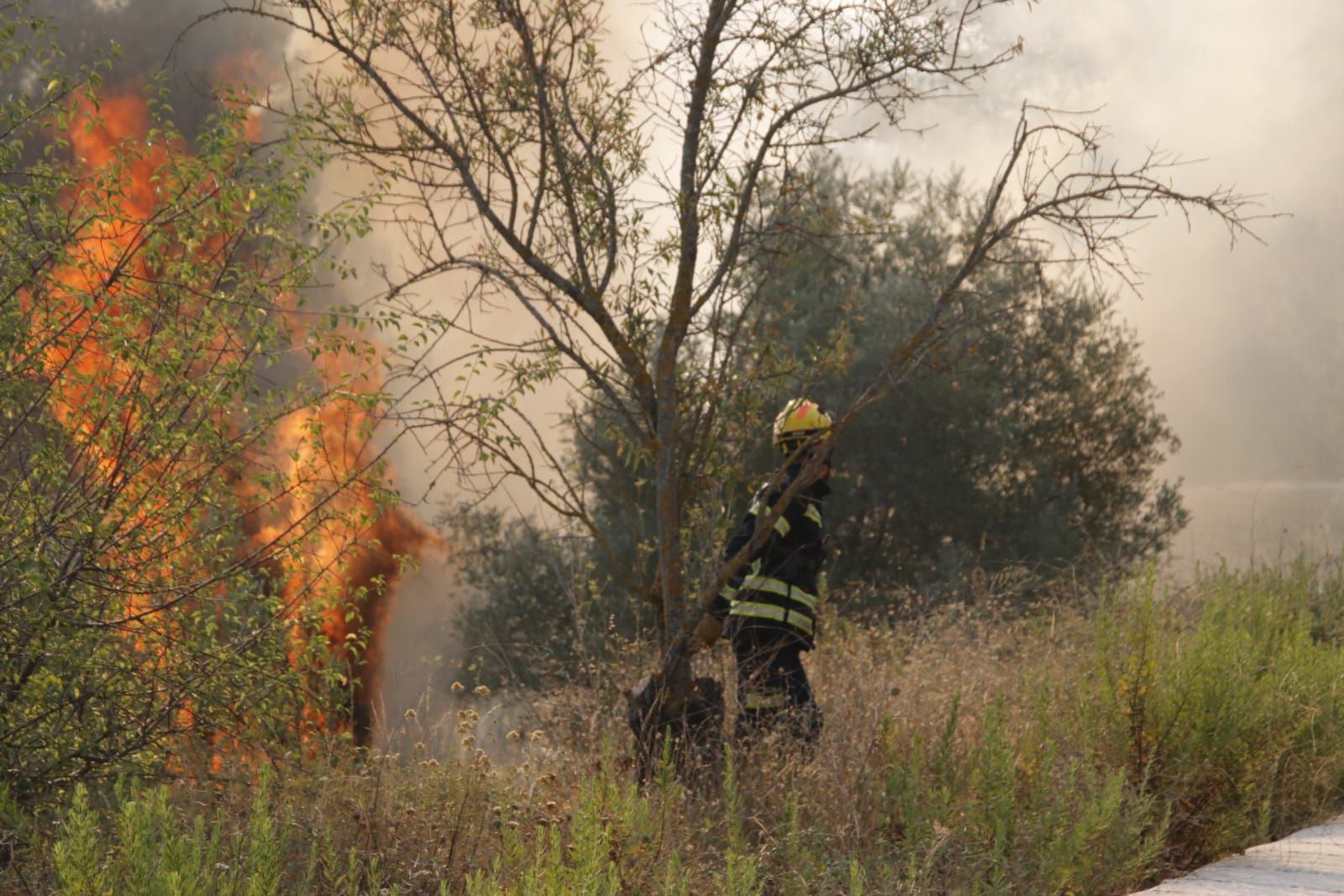 El incendio en la Vall d'Ebo calcina 2.200 hectáreas y se estudian desalojos