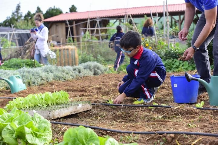 Visita escolar a la Granja Agricola del Cabildo