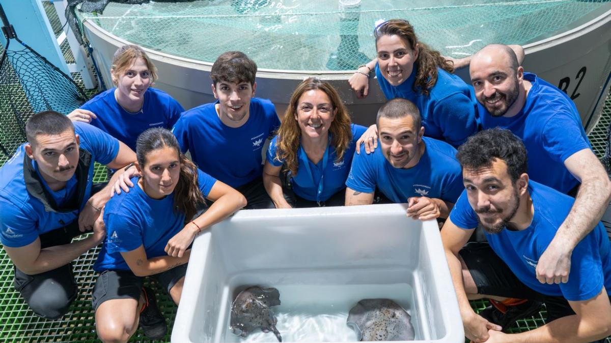L’equip d’Oceans, amb les cries de ‘Taeniura grabata’.