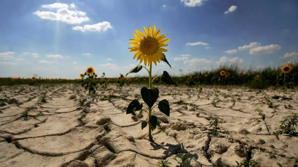 La guerra climática