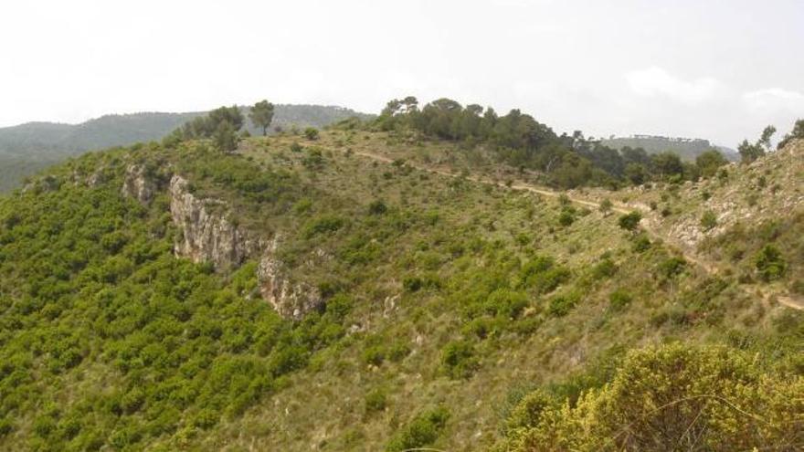 Vista del camino que conduce al coll del Vent.