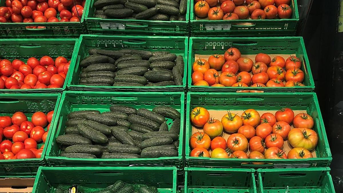 Mercadona comprará en la Región más del 60% de los pepinos que venda en 2020