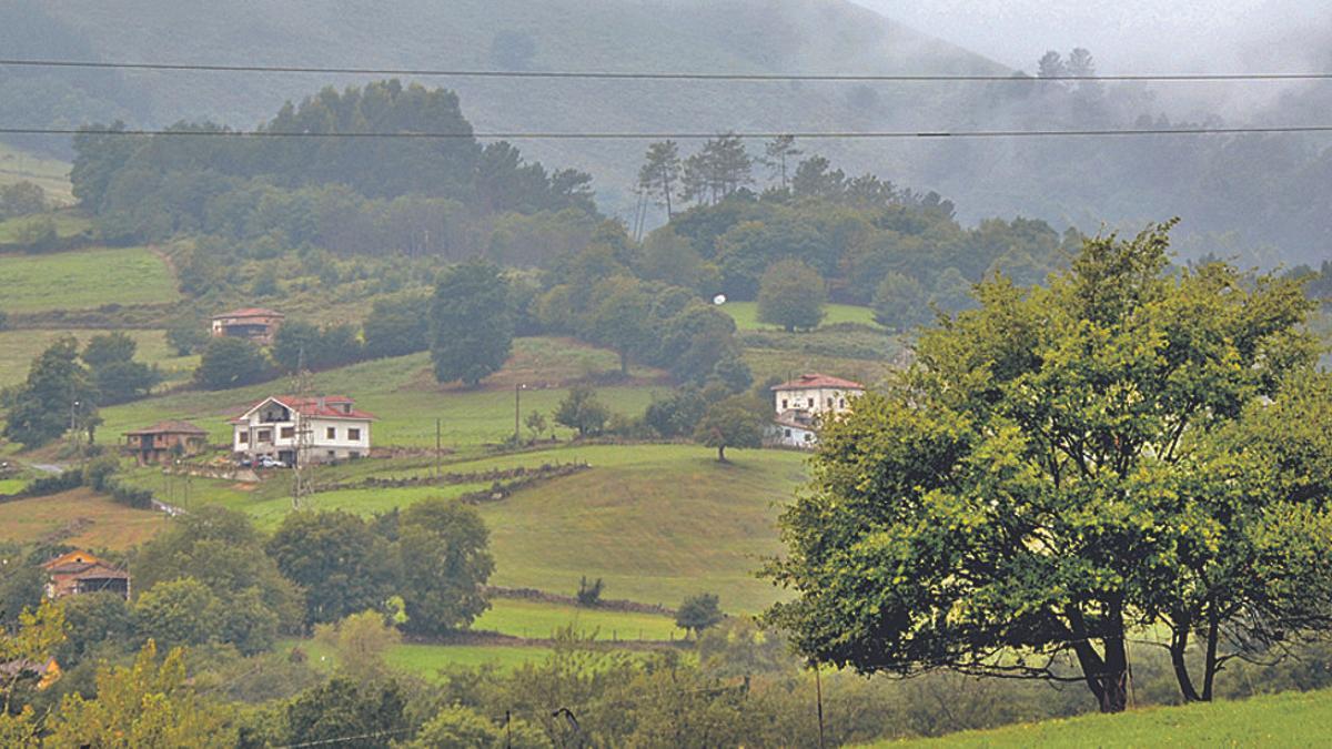 Paisaje rural asturiano.