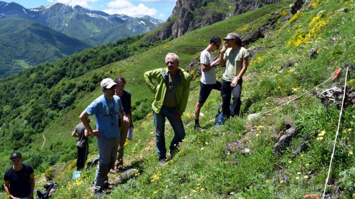 Miembros del grupo de investigación, en los Picos de Europa. | Uniovi