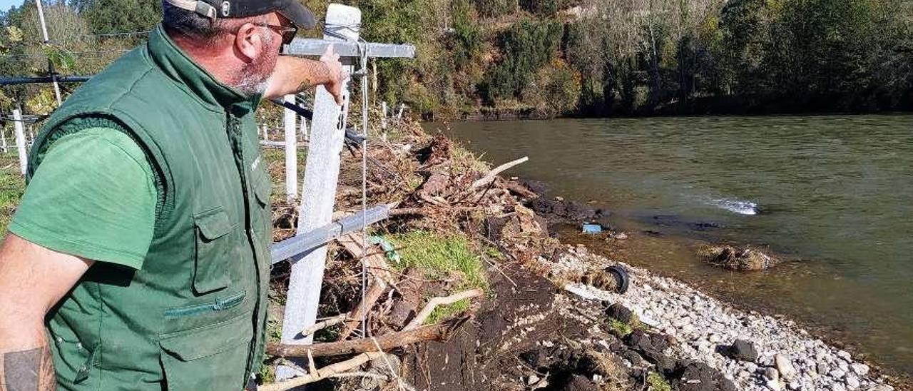 Alejandro Calleja, encargado de una finca de kiwis en Forcinas (Pravia), señala la zona de terreno perdida con la última riada.