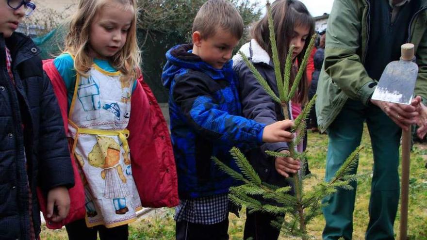 Cuatro alumnos del CEO de Coreses plantan un pino con motivo del Día del Árbol.