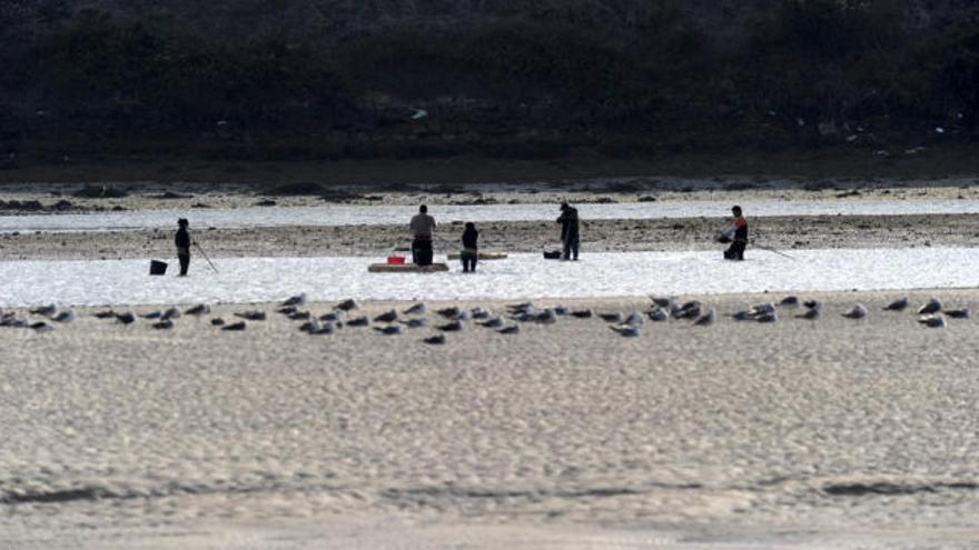 Furtivos en la ría de O Burgo. / Fran Martínez