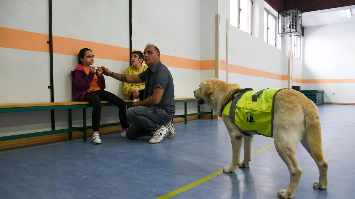 Canoterapia en este cole de Zamora: Oso, un compañero de cuatro patas