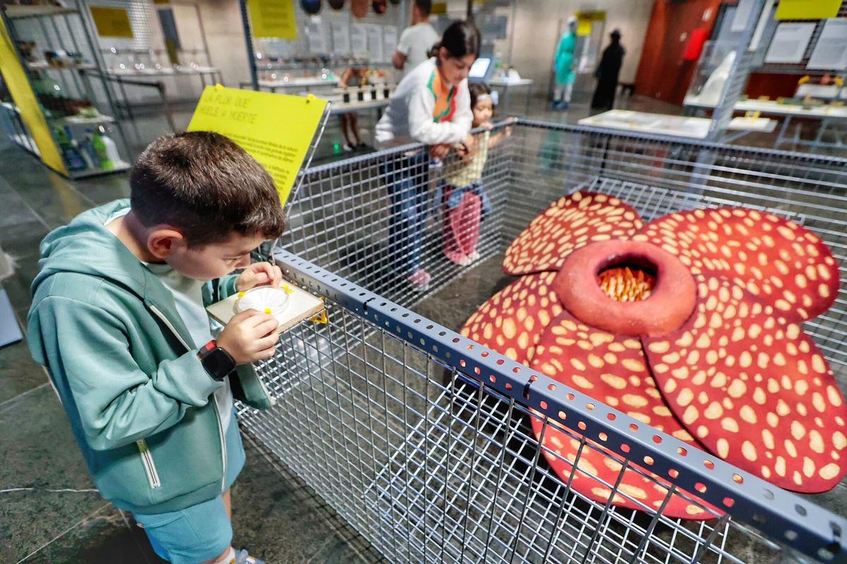 Reportaje de la exposición Oler para creer, una muestra que propone un recorrido por el universo del olfato desde una perspectiva científica, cultural y sensorial.  | 02/07/2026 | Fotógrafo: María Pisaca Gámez | [idTask=265900] [Pinakes=3759577]