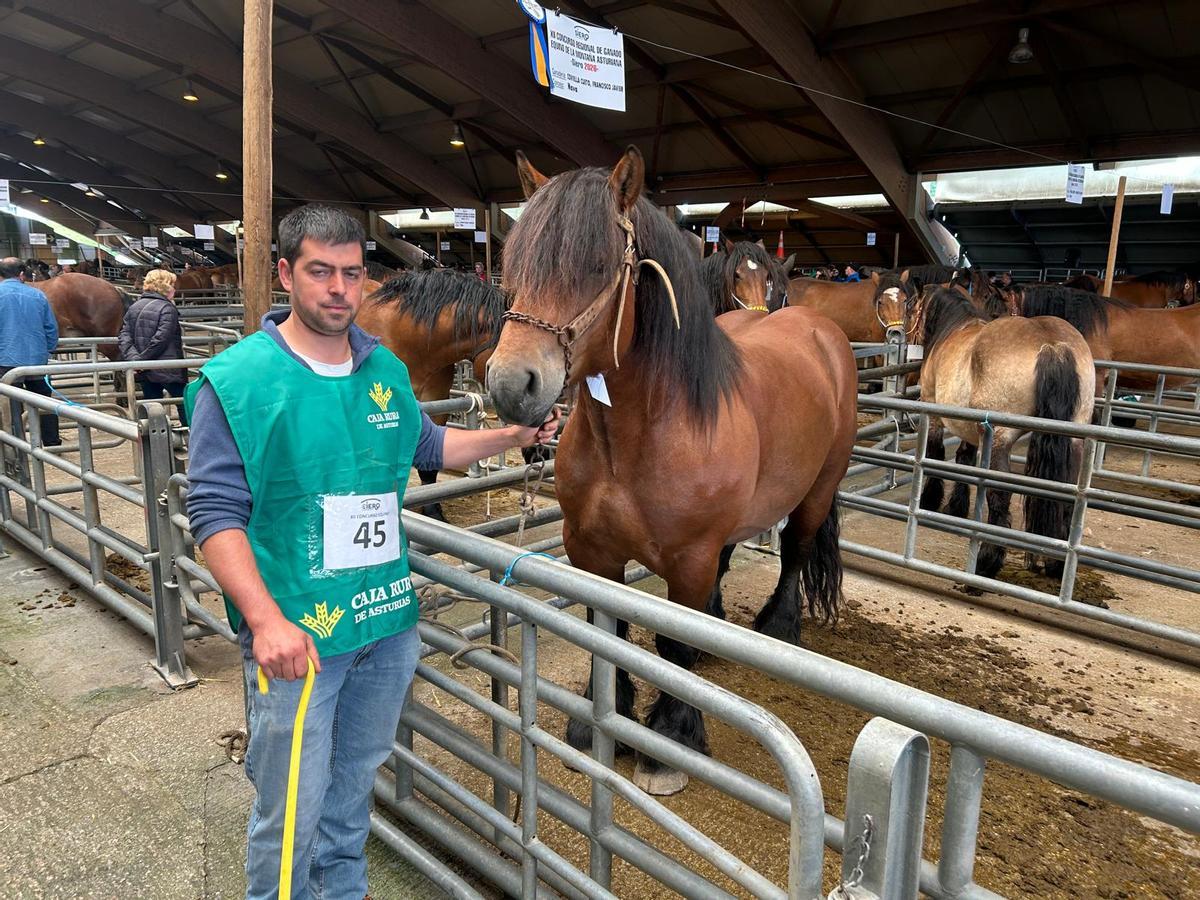 EN IMÁGENES: Concurso de Ganado Equino de la Montaña Asturiana en Pola de Siero EN IMÁGENES: Concurso de Ganado Equino de la Montaña Asturiana en Pola de Siero