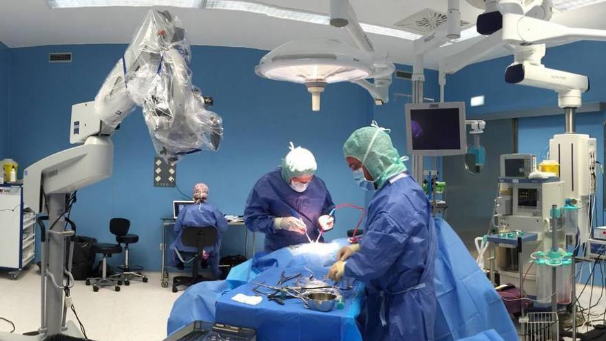 Microcirugía vanguardista de espalda para los cordobeses