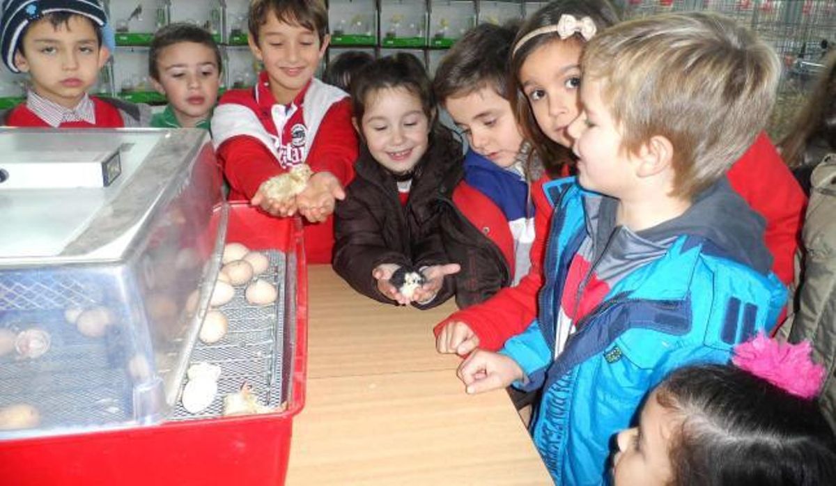 La pita pinta entre los niños