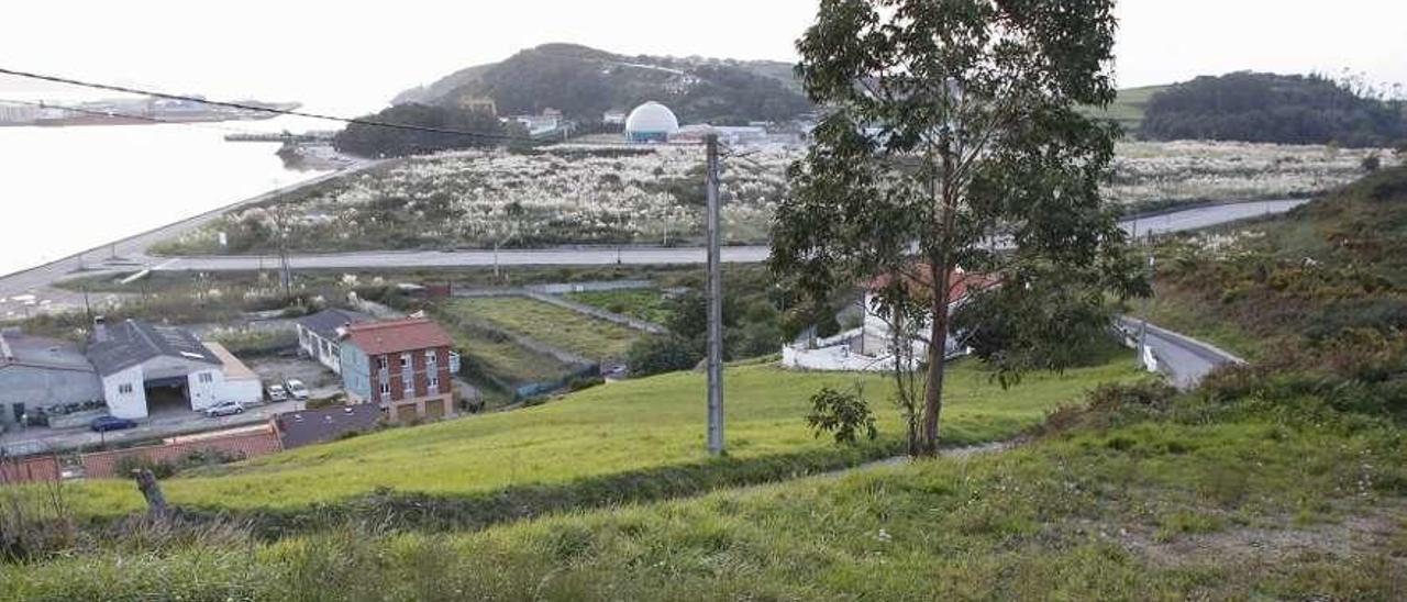 Al fondo, la zona donde se hará la recuperación de las marismas de Maqua.