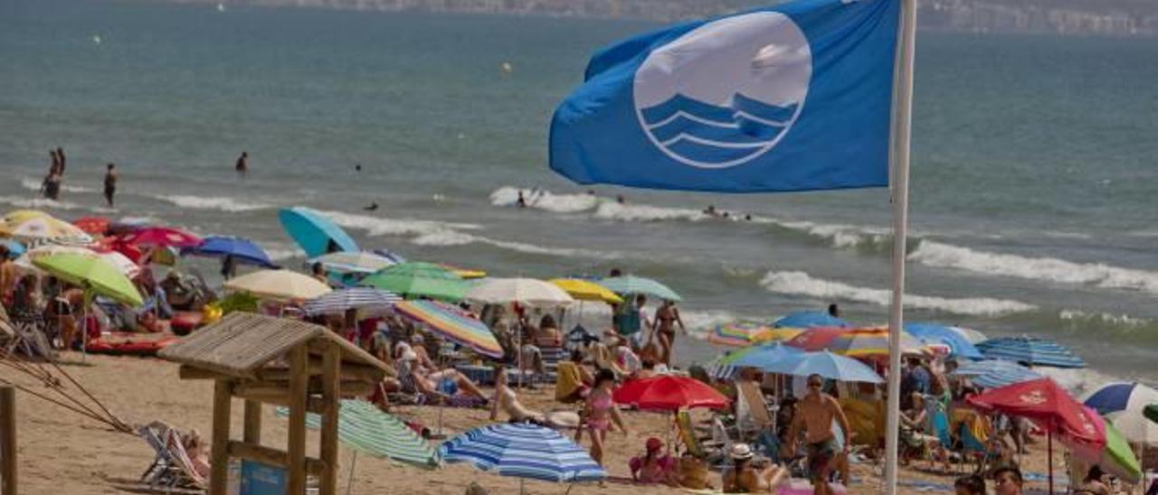 Distinción ambiental Las banderas azules empiezan a ondear