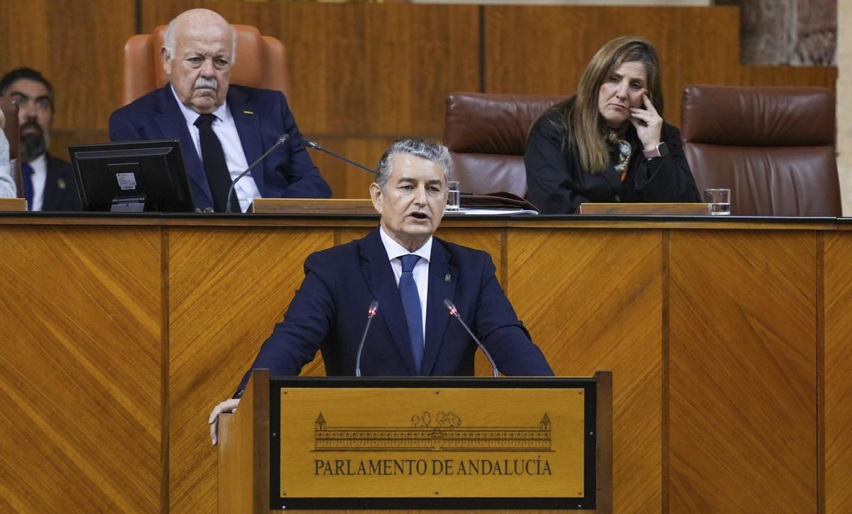 Antonio Sanz, durante su comparecencia en el Parlamento de Andalucía.