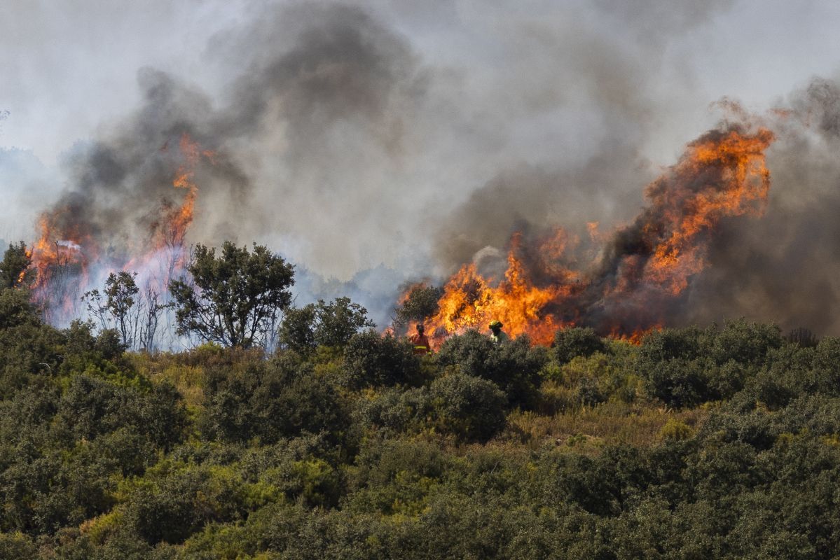 Las imágenes más impactantes del incendio en Bejís