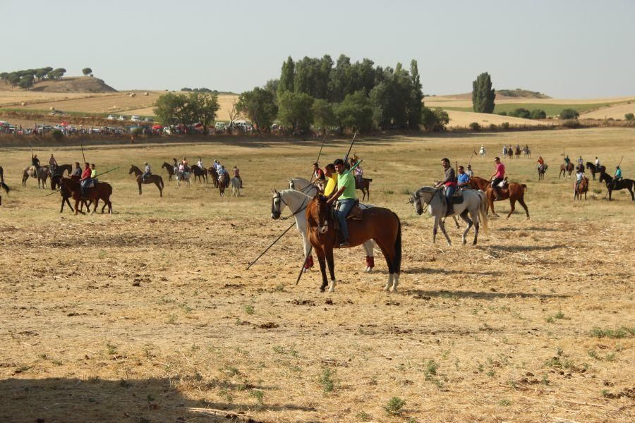 Fiestas en Zamora: Encierro en Argujillo