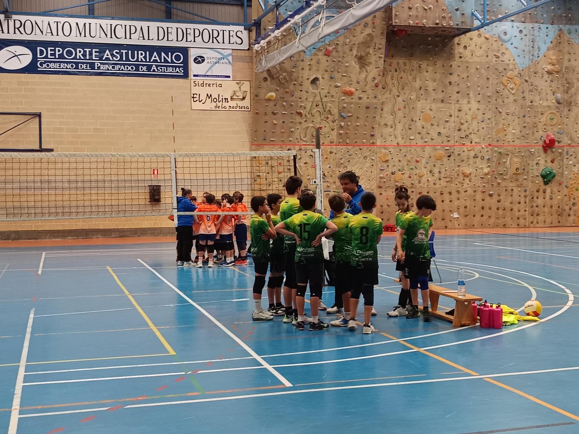 Nuevo éxito del voleibol cangués