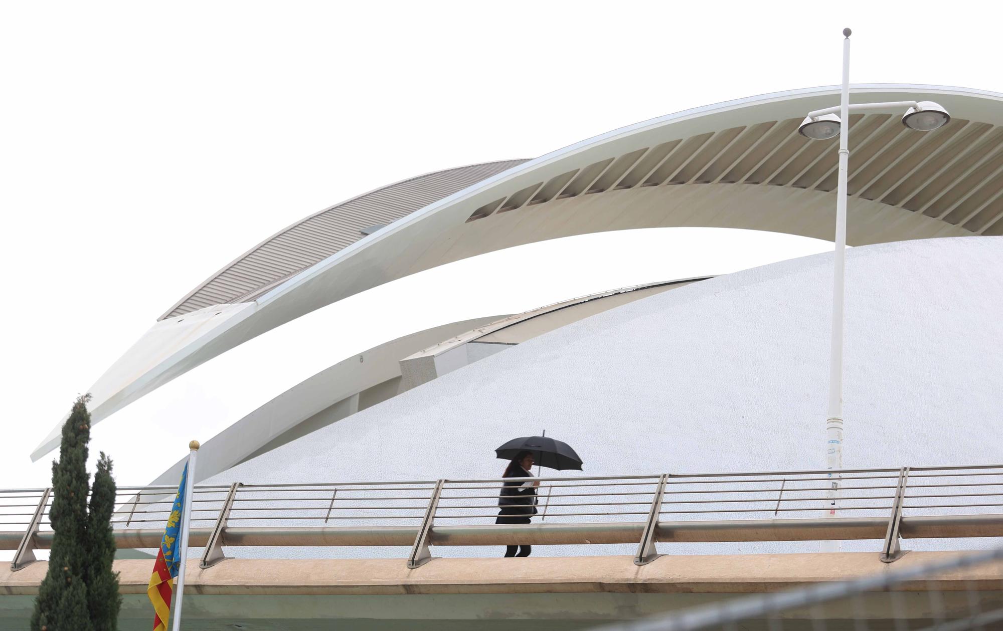 Preparativos para el Maratón Valencia Trinidad Alfonso 2022