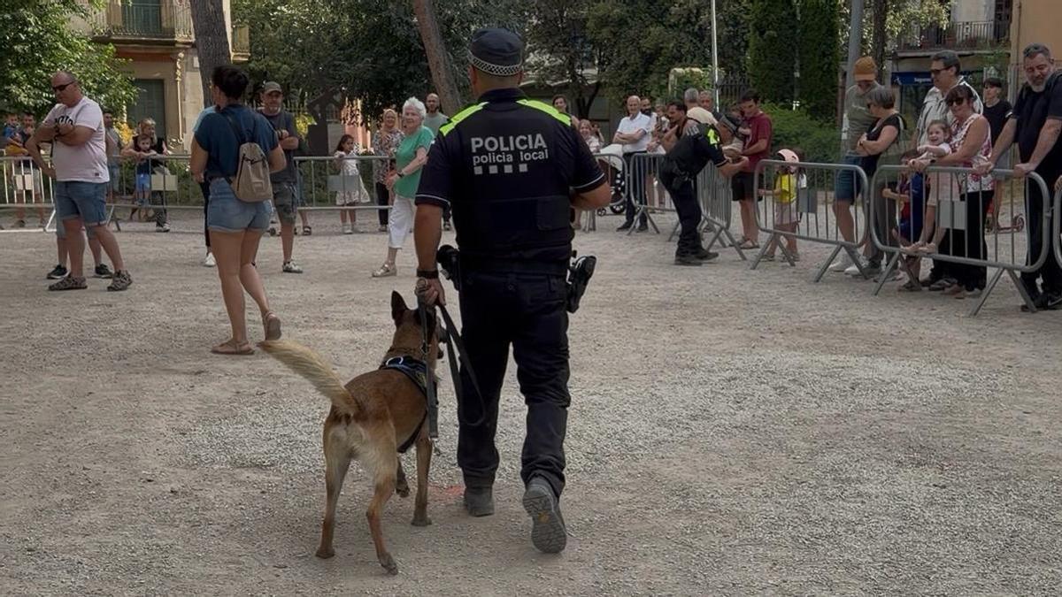 L'Otto i el seu guia humà, a l'exhibició d'unitats canines de la policia aquest dimarts a Manresa