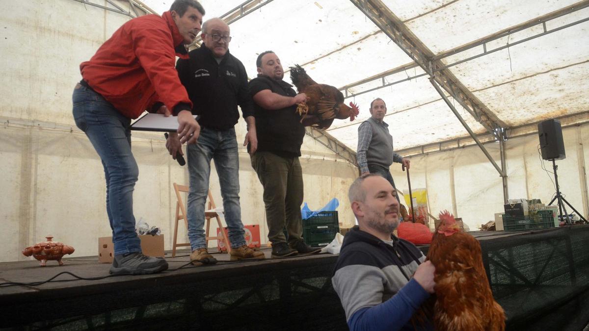 Un momento de las &quot;poxas&quot; de San Antón de una edición anterior de la fiesta