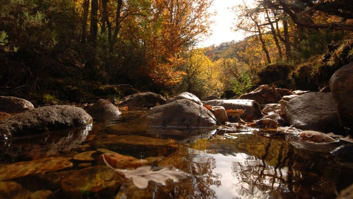 Sierra del Rincón