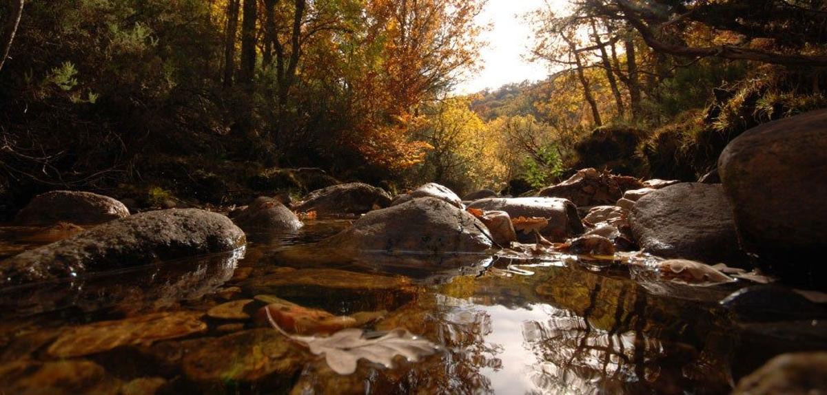 Sierra del Rincón
