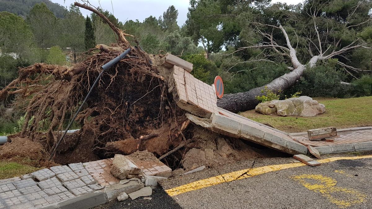 Sturmtief "Juliette" richtet schwere Schäden im Osten von Mallorca an