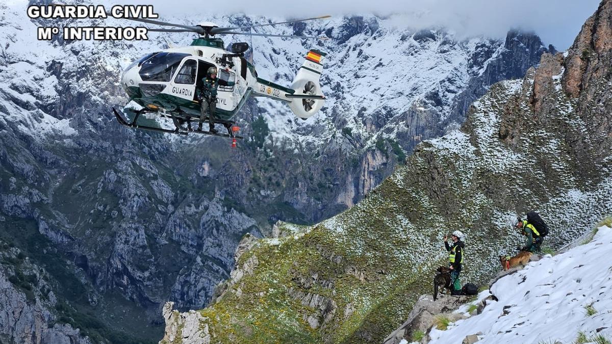 Hallan el cuerpo del montañero inglés desaparecido en los Picos de Europa desde el jueves: murió tras despeñarse en la canal de Moeño