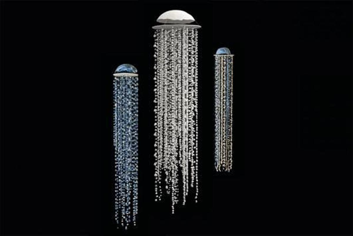 Imatge de les «Meduses de la Mediterrània».