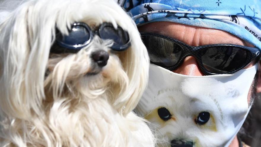 Un home amb mascareta personalitzada sosté el seu gos a Alemanya