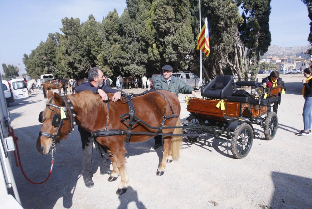 Festa de Sant Antoni Abat a Torroella de Montgrí