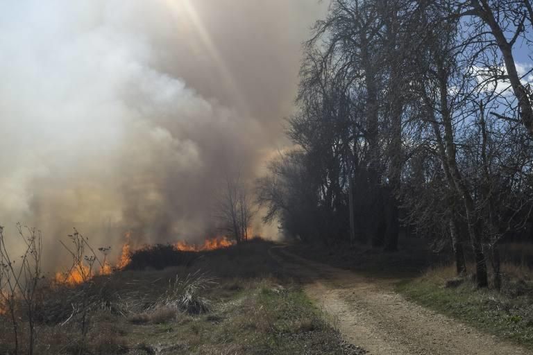 Incendio en los aledaños de El Ermitaño