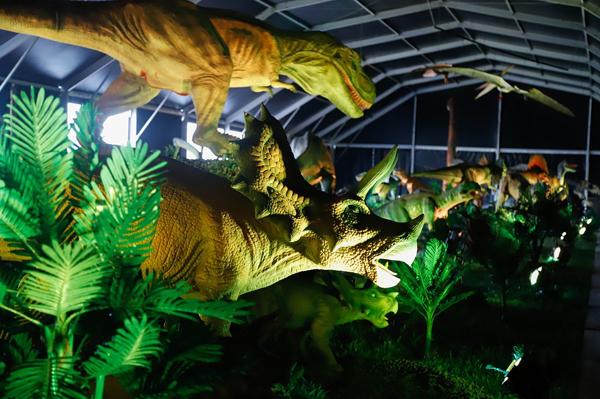 DINO EXPO XXL llega a Córdoba