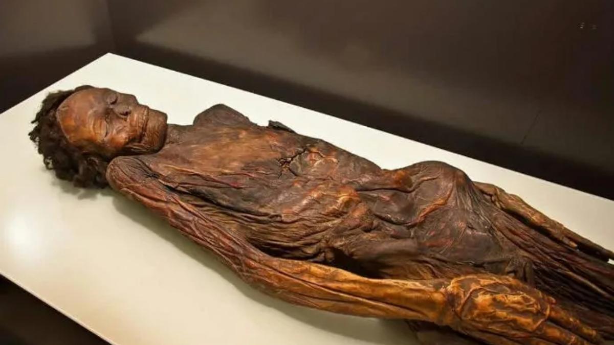 La réplica de la momia de Madrid que se exhibe en el Museo de Naturaleza y Arqueología de Tenerife (MUNA)
