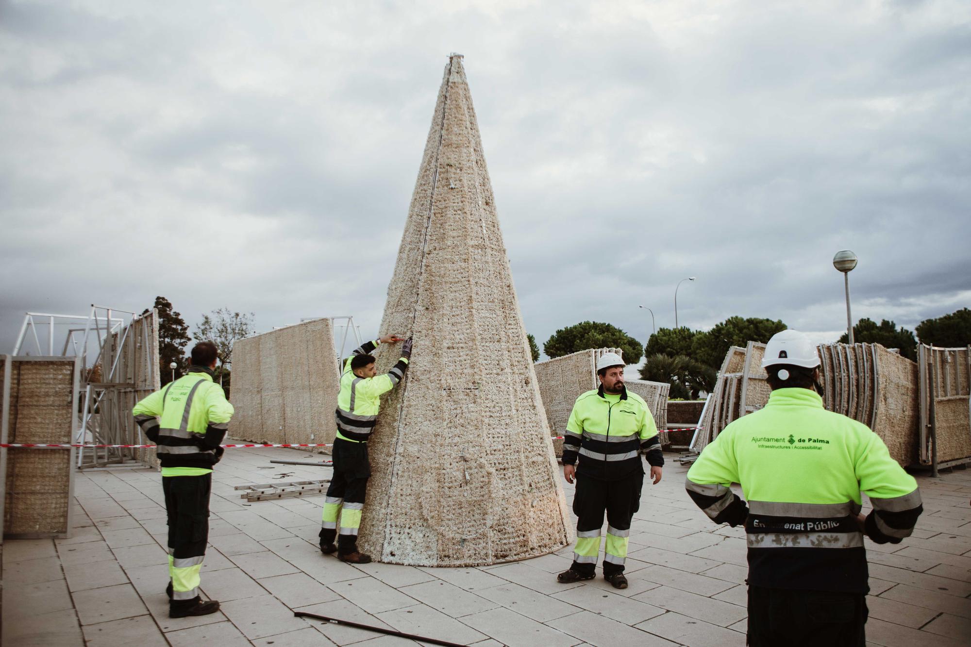 Cort empieza a montar el árbol iluminado del Parc de la Mar